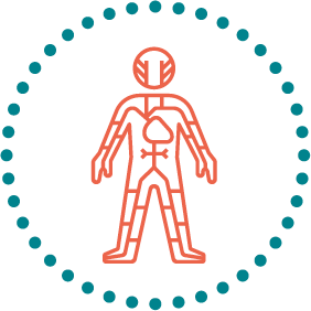 common cause of haemorrhoids #5 - Increased volume of blood circulation.